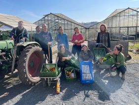 Regionale Lebensmittel landen in der Erntekiste